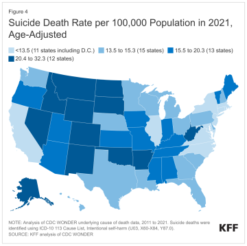 map showing suicide death rate per 100,000 population