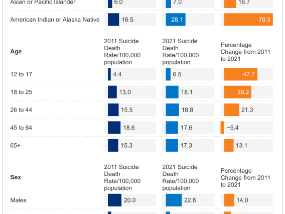 chart showing suicide death rates by demographics and location 