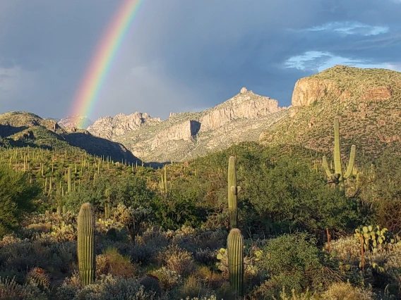 Rainbow over the Catalinas