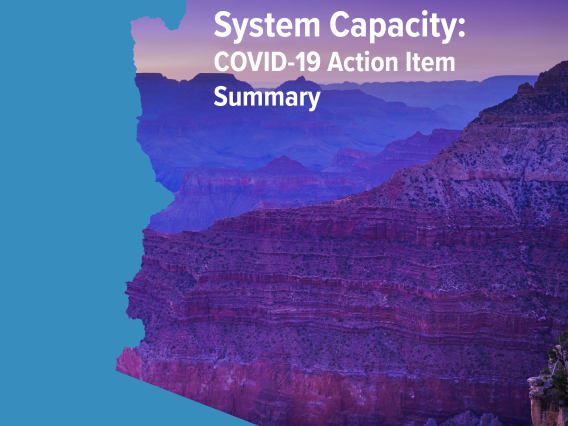 small cover AZ Public Health System Capacity Action Summary