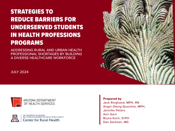 strategies to reduce barriers for underserved students in health professions programs