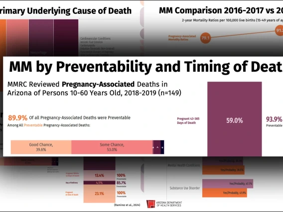 adhs maternal mortality review graphic