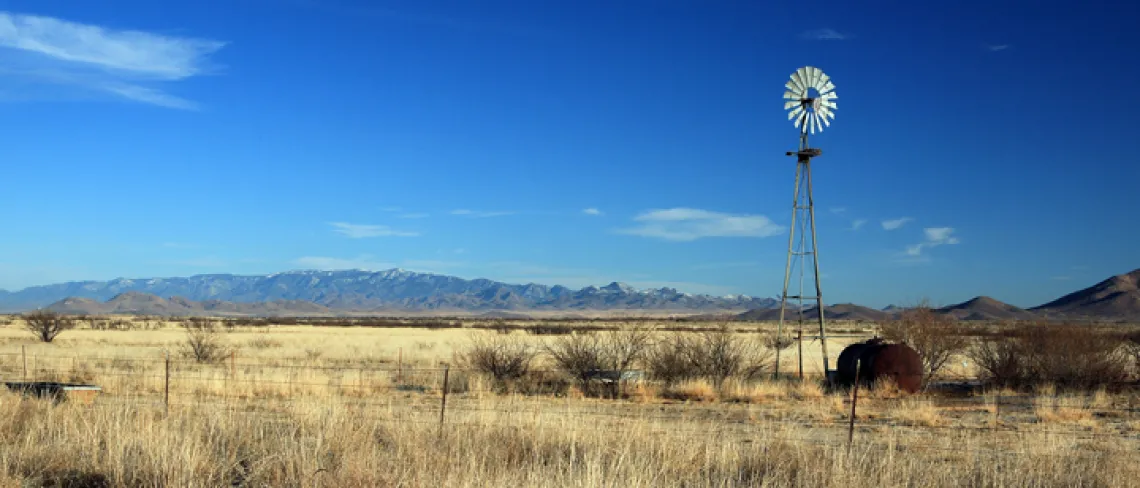 landscape with windmill 