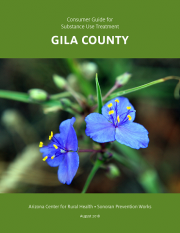 Consumer Guide - Substance Use Resources, Gila County