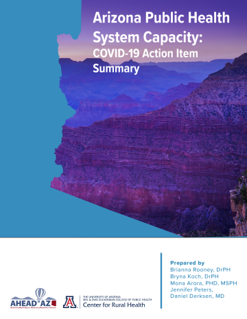 cover of Arizona Public Health System Capacity Covid-19 Action Item Summary