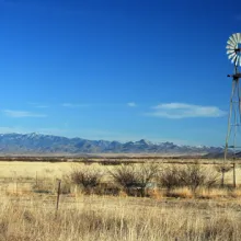 landscape with windmill 