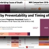 adhs maternal mortality review graphic